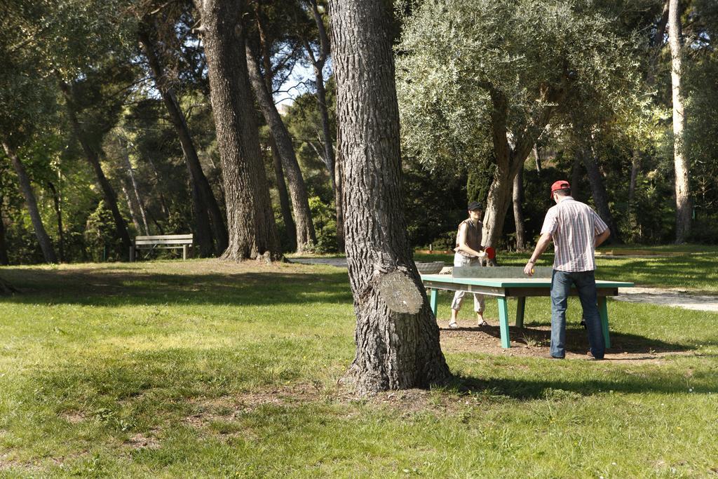Hotel Club La Font Des Horts Hyères Kültér fotó