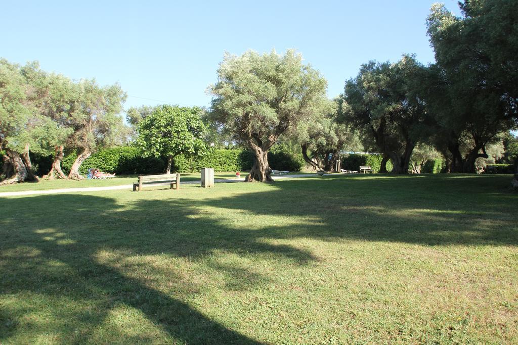 Hotel Club La Font Des Horts Hyères Kültér fotó