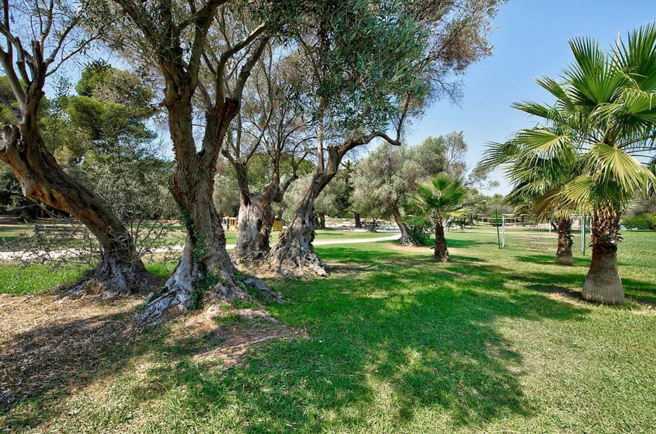 Hotel Club La Font Des Horts Hyères Kültér fotó